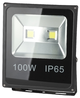 ЭРА Прожектор светодиодный LPR-100-6500К-М Б0017304