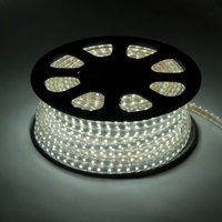 Лента светодиодная 2835 (60/m) 12W/m 220V (100м) холодная
