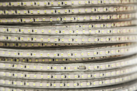 Лента светодиодная 4.8W 220V (100м) холодная 4000-4500К
