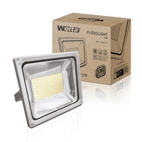 Прожектор светодиодный Wolta WFL-200W/01 5500K SMD IP65 цвет серебро