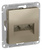 Schneider Electric ATLAS DESIGN РОЗЕТКА двойная компьютерная RJ45+RJ45, кат.5E, механизм, ШАМПАНЬ ATN000585 Schneider Electric ATLAS DESIGN РОЗЕТКА двойная компьютерная RJ45+RJ45, кат.5E, механизм, ШАМПАНЬ ATN000585
