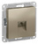 Schneider Electric ATLAS DESIGN РОЗЕТКА телефонная RJ11, механизм, ШАМПАНЬ ATN000581 Schneider Electric ATLAS DESIGN РОЗЕТКА телефонная RJ11, механизм, ШАМПАНЬ ATN000581