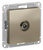 Schneider Electric ATLAS DESIGN TV АНТЕННА коннектор, механизм, ШАМПАНЬ ATN000593 Schneider Electric ATLAS DESIGN TV АНТЕННА коннектор, механизм, ШАМПАНЬ ATN000593