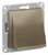 Schneider Electric ATLAS DESIGN ВЫВОД КАБЕЛЯ, механизм, ШАМПАНЬ ATN000599 Schneider Electric ATLAS DESIGN ВЫВОД КАБЕЛЯ, механизм, ШАМПАНЬ ATN000599