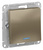 Schneider Electric ATLAS DESIGN 1-клавишный ВЫКЛЮЧАТЕЛЬ с подсветкой, сх.1а, 10АХ, механизм, ШАМПАНЬ ATN000513 Schneider Electric ATLAS DESIGN 1-клавишный ВЫКЛЮЧАТЕЛЬ с подсветкой, сх.1а, 10АХ, механизм, ШАМПАНЬ ATN000513