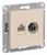 Schneider Electric ATLAS DESIGN РОЗЕТКА двойная комп+ТВ, RJ45+TV, кат.5E, механизм, БЕЖЕВЫЙ ATN000289 Schneider Electric ATLAS DESIGN РОЗЕТКА двойная комп+ТВ, RJ45+TV, кат.5E, механизм, БЕЖЕВЫЙ ATN000289