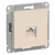 Schneider electric ATLASDESIGN РОЗЕТКА компьютерная RJ45, кат. 6A, механизм, БЕЖЕВЫЙ ATN000286 Schneider electric ATLASDESIGN РОЗЕТКА компьютерная RJ45, кат. 6A, механизм, БЕЖЕВЫЙ ATN000286