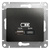 Schneider electric GLOSSA USB РОЗЕТКА A+С, 5В/2,4А, 2х5В/1,2 А, механизм, АНТРАЦИТ GSL000739 Schneider electric GLOSSA USB РОЗЕТКА A+С, 5В/2,4А, 2х5В/1,2 А, механизм, АНТРАЦИТ GSL000739